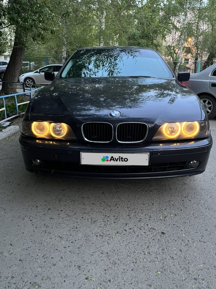 BMW 5 серия: фото владельца