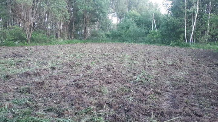 Участок 10 сот. (СНТ, ДНП)