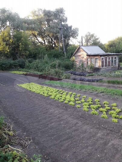 Участок 12 сот. (ИЖС)