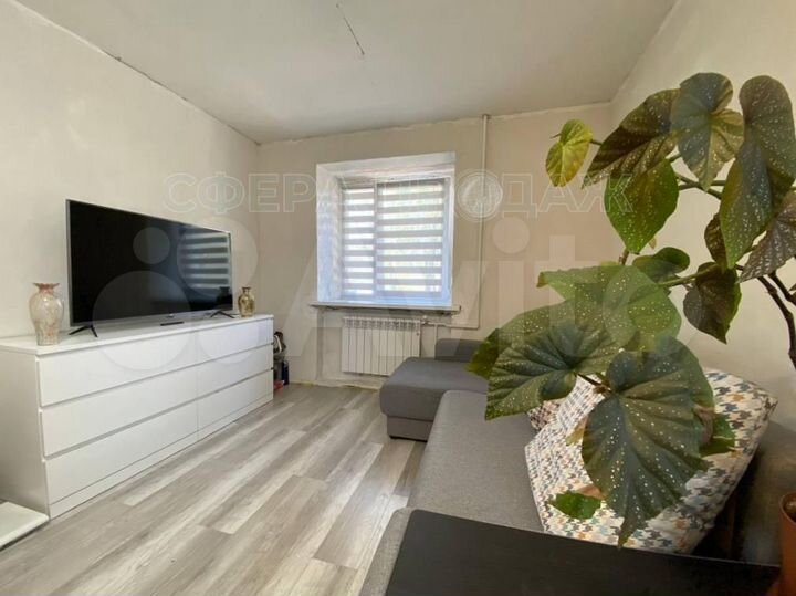 1-к. квартира, 31,3 м², 1/4 эт.