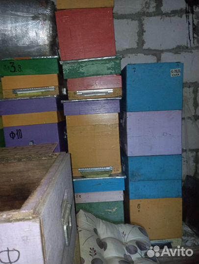 Улики для пчел бу