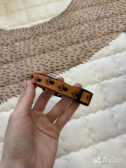 Поводок для собак