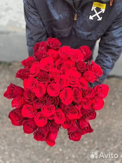 Свежая роза от теплицы. Роза Эквадор и Голландия