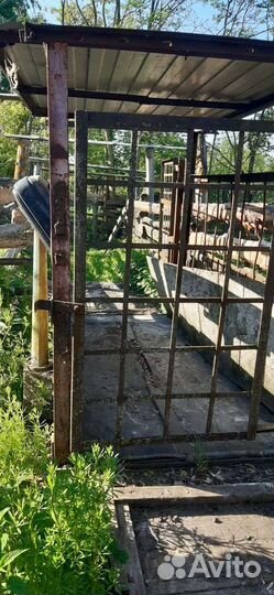 Весы для взвешивания скота