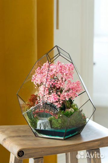 Флорариум Моссариум Подарок