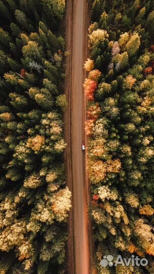 Фотограф