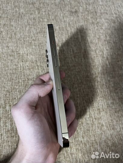 iPhone 12 Pro Max, 256 ГБ