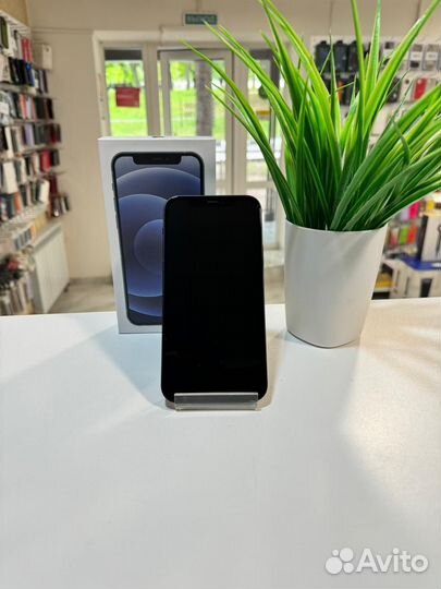 iPhone 12, 128 ГБ