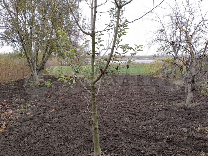 Дом 60 м² на участке 41 сот.