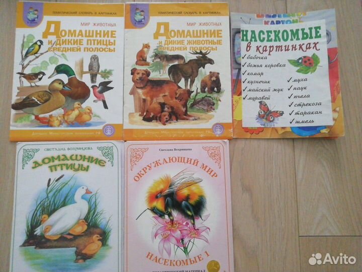 Дидактический материал для доу