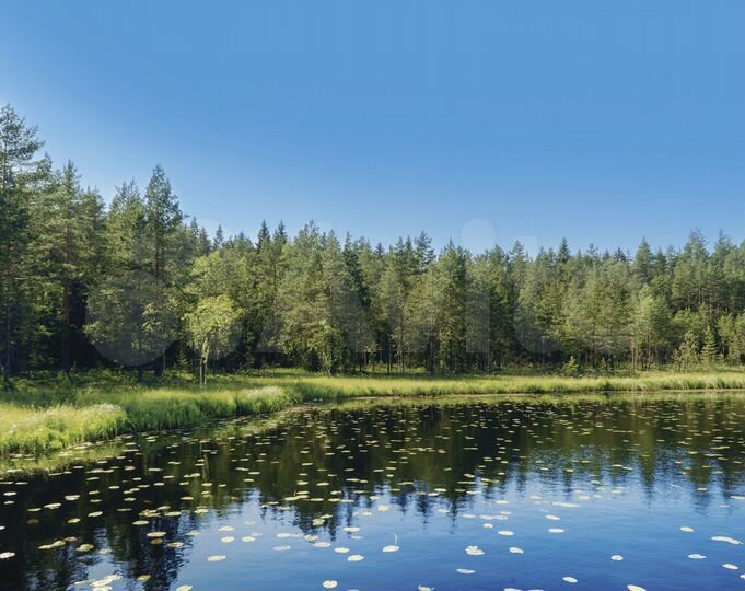 Участок 10 сот. (СНТ, ДНП)