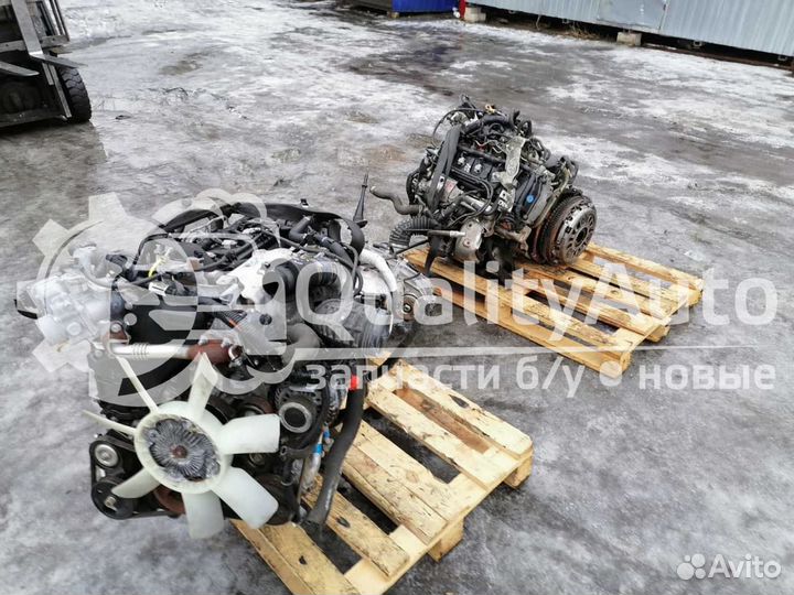 Двигатель YD25DDTi Nissan Navara 2.5 л