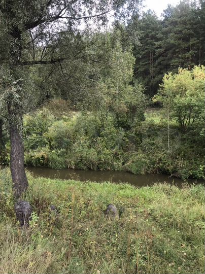 Участок 7 сот. (ИЖС)