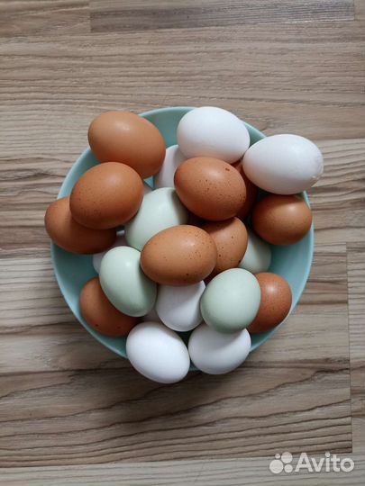 Яйца домашние куриные