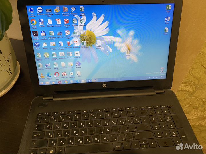 Ноутбук hp