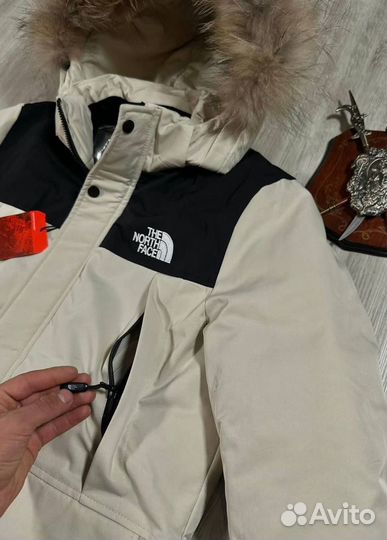 Мужская зимняя парка The North Face