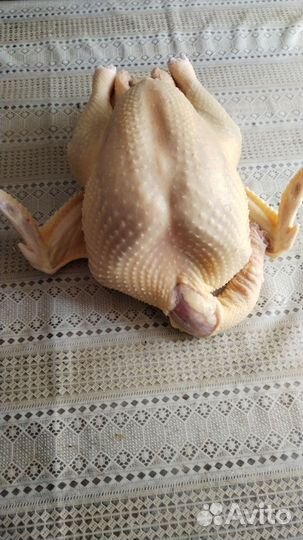 Индюки на мясо