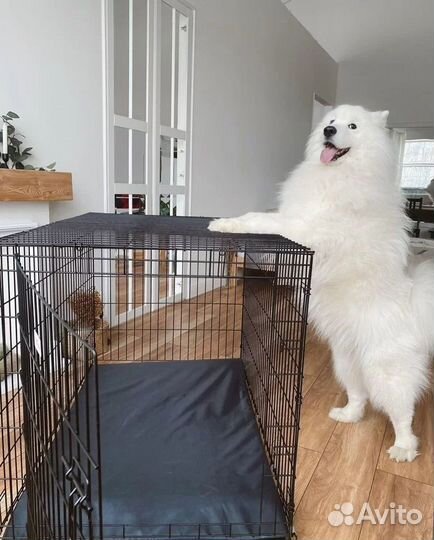 Клетка для собак