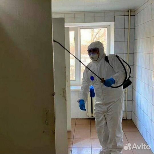 Дезинсекция, дезинфекция, дератизация