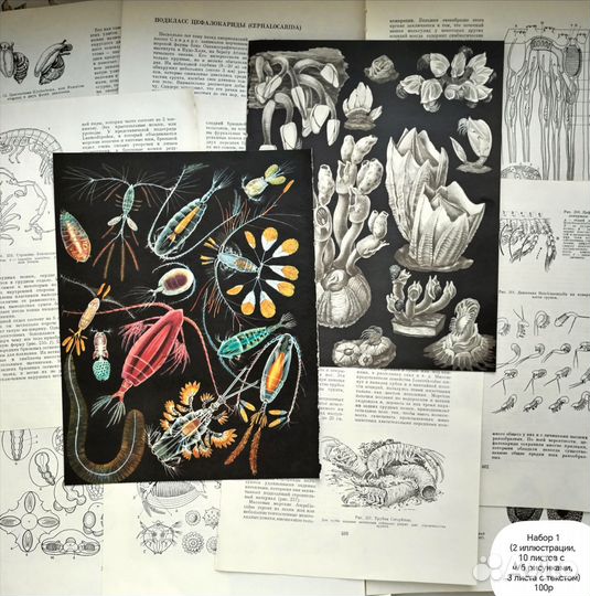 Набор для джанкбука (скрапбукинга)