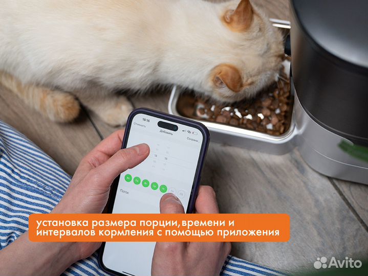 Автокормушка для кошек и собак с камерой Pet Flat