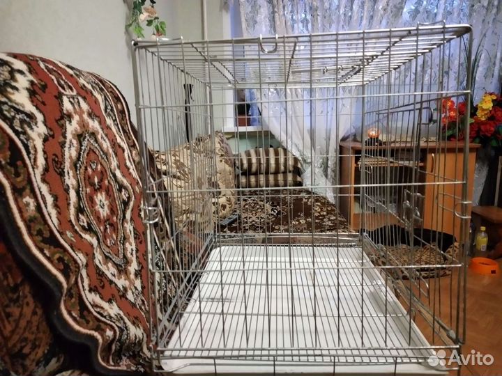 Клетка Птичкин дом