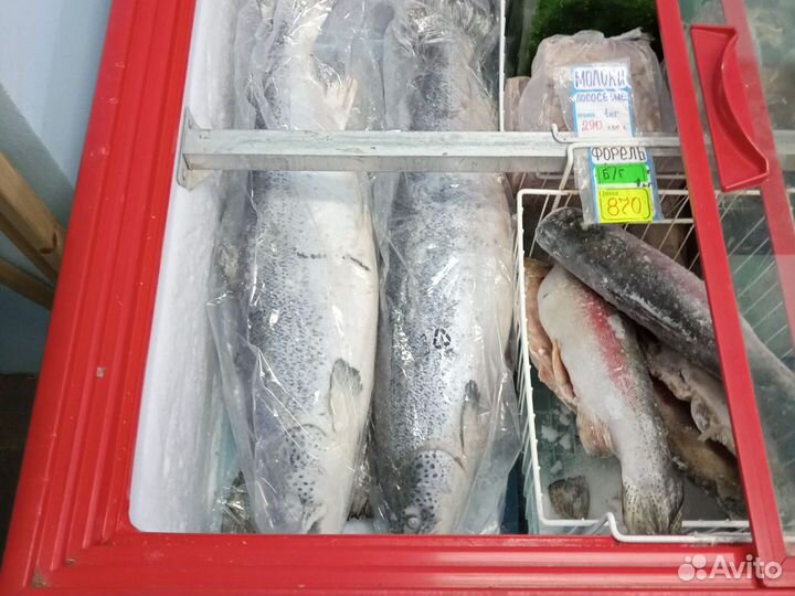Семга свежемороженая
