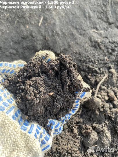 Чернозем, торф