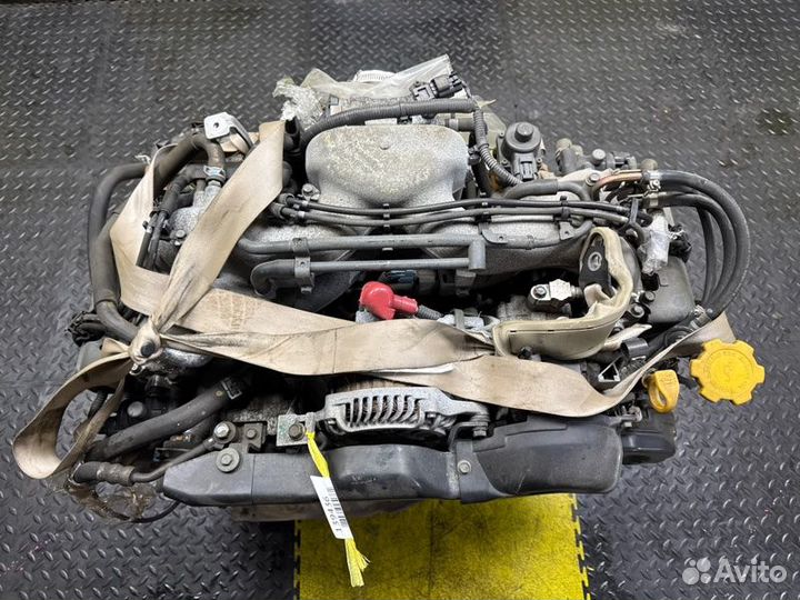 Двс Subaru Legacy BP9 EJ253 2005