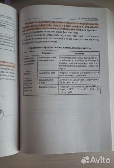 Молекулярная биология егэ