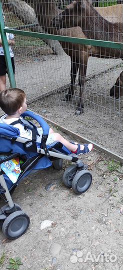 Коляска трость chicco