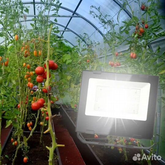 Прожектор светодиодный для растений 100 Вт