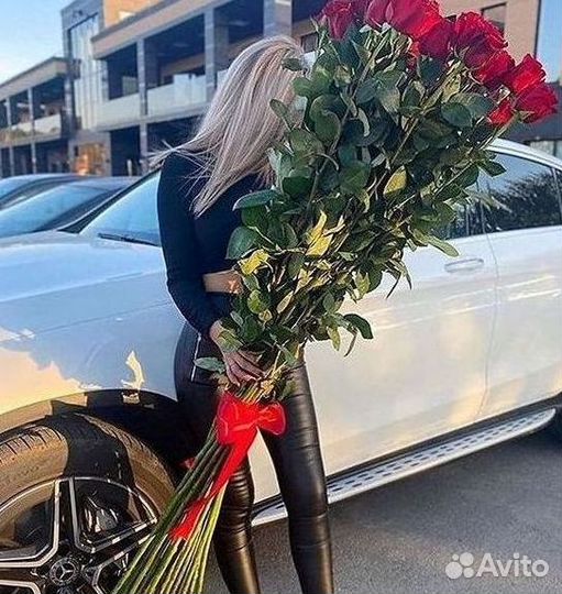 Розы гиганты 140 150 160 170 180 200