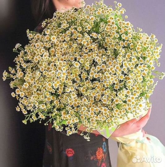 Ромашки Букет из ромашек доставка