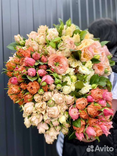 Роза пионовидная опт