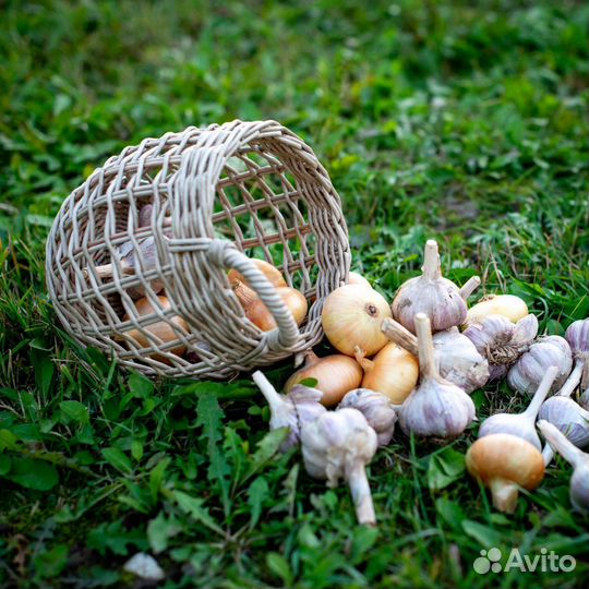 Плетеная корзина