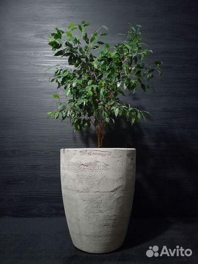 Кашпо, Вазоны, Горшки под заказ из бетона арт 125
