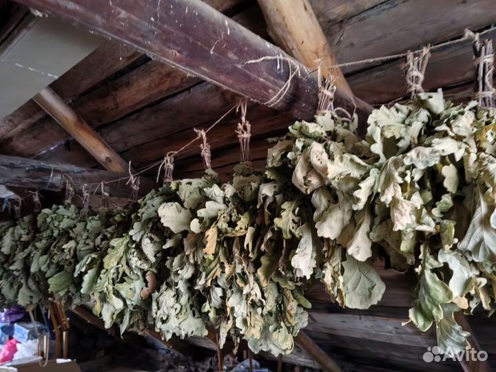 Дубовые веники для бани