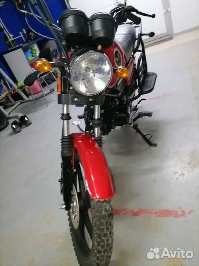 Альфа кольт