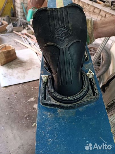 Водные лыжи дельфин