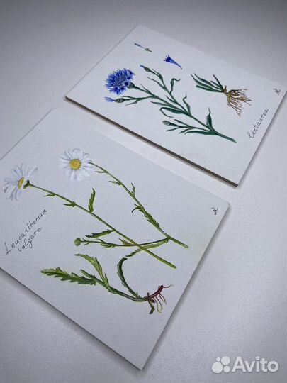 Картина маслом ботаника