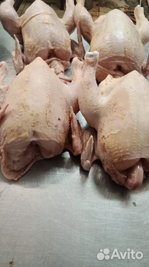 Мясо домашнего бройлера