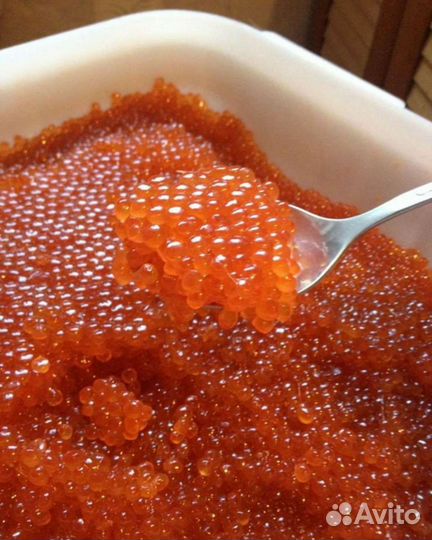 Красная икра (Камчатка )