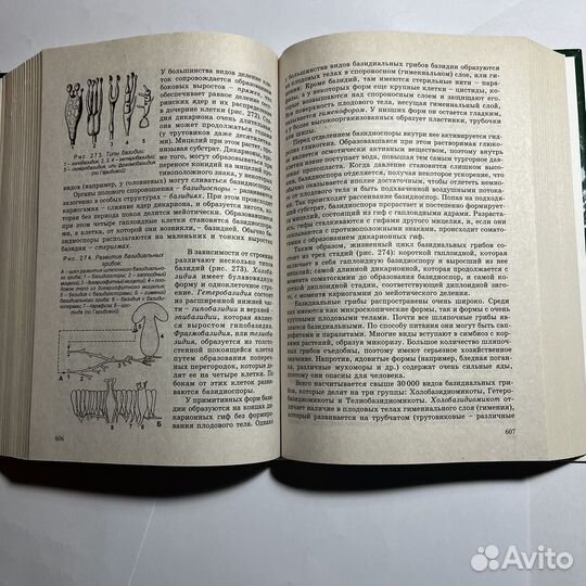 Биология для поступающих в вузы