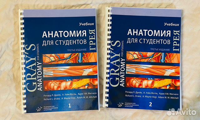Анатомия грея для студентов Анатомия грея для студентов