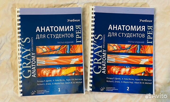 Анатомия Грея для студентов