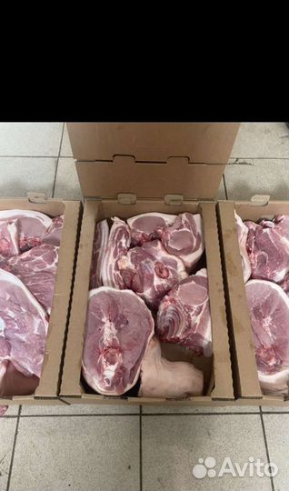 Мясо свинина