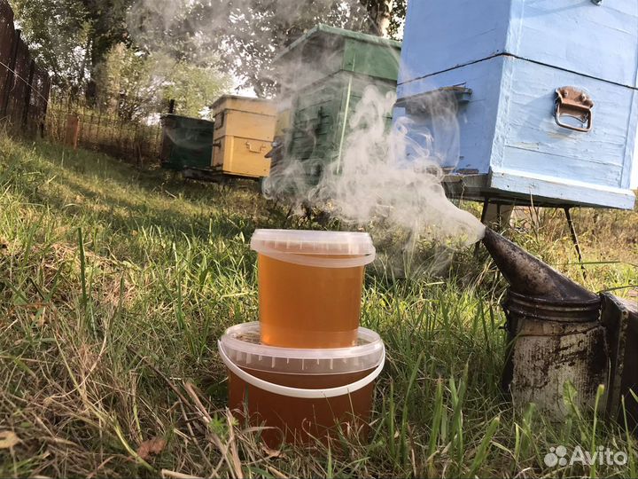 Мёд из д. Бежин луг