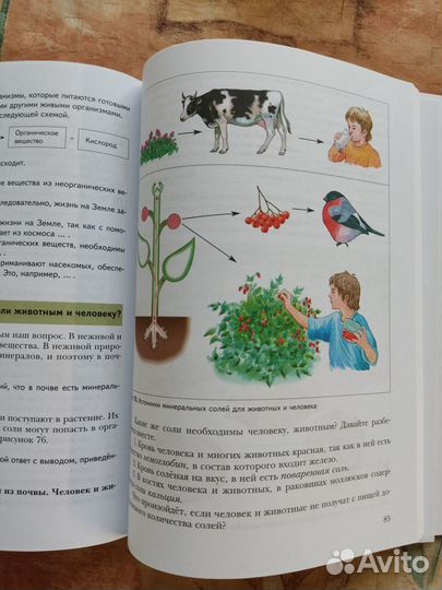 Учебник биологии 5 класс