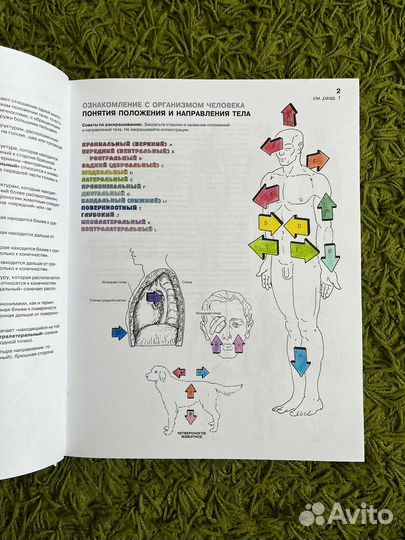 Атлас-раскраска 